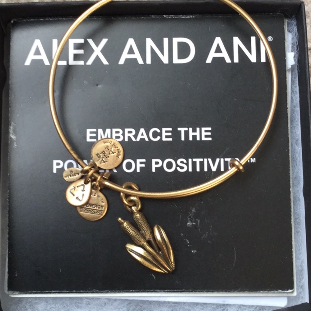Alex and ani bracelet